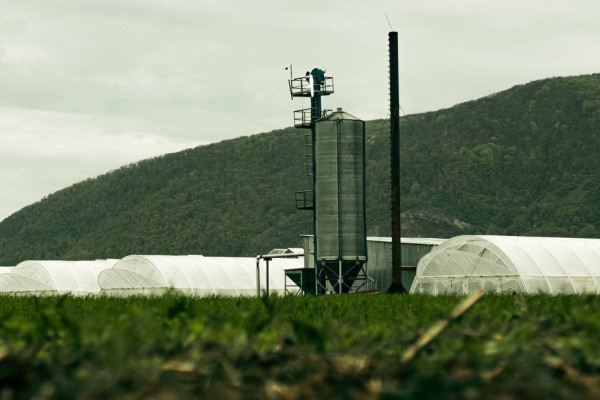 AgroGloryTime - инвестиции в агробизнес Украины по технологии blockchain